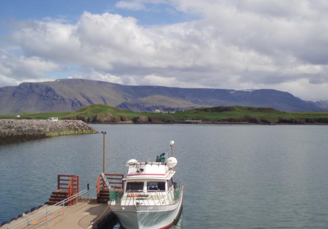 Transfert en Ferry de Reykjavik à l’île de Viðey – départ vieux port de Reykjavik